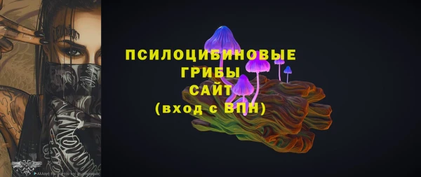шишки Инсар