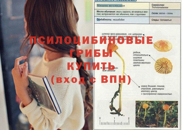 бутират Алзамай