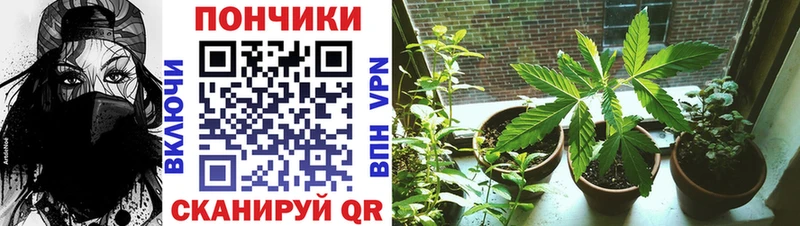 Бошки Шишки Bruce Banner Балабаново